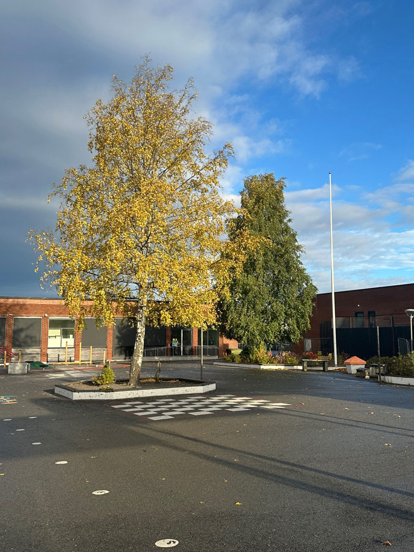 Høst i skolegården 