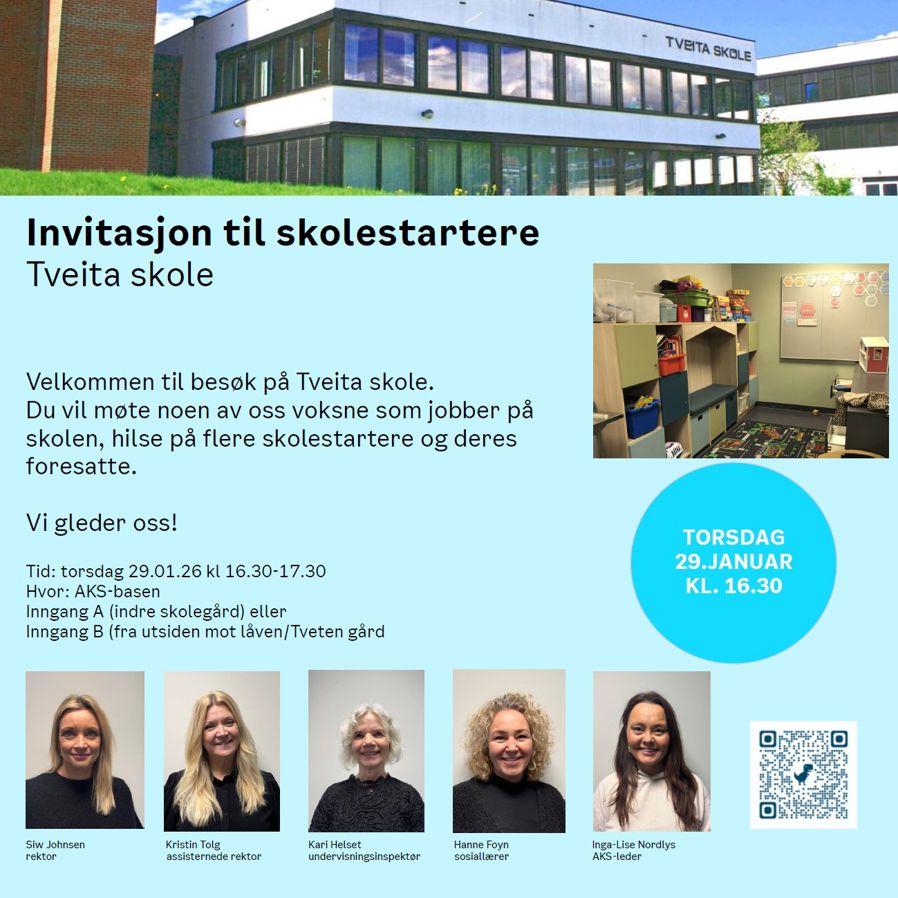 grafisk brukergrensesnitt, nettside