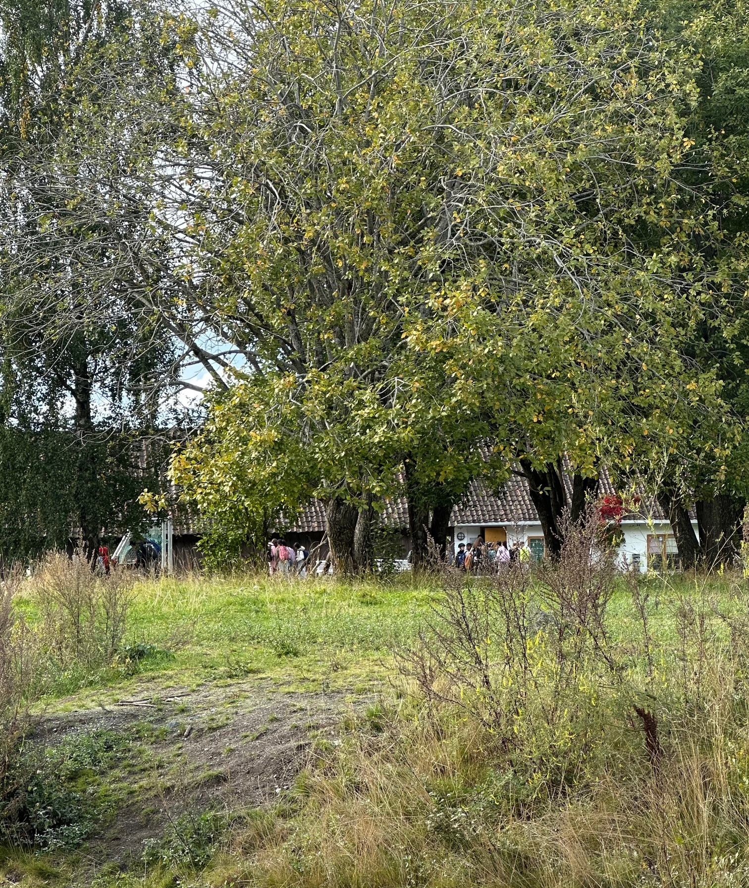 et hus med trær rundt seg