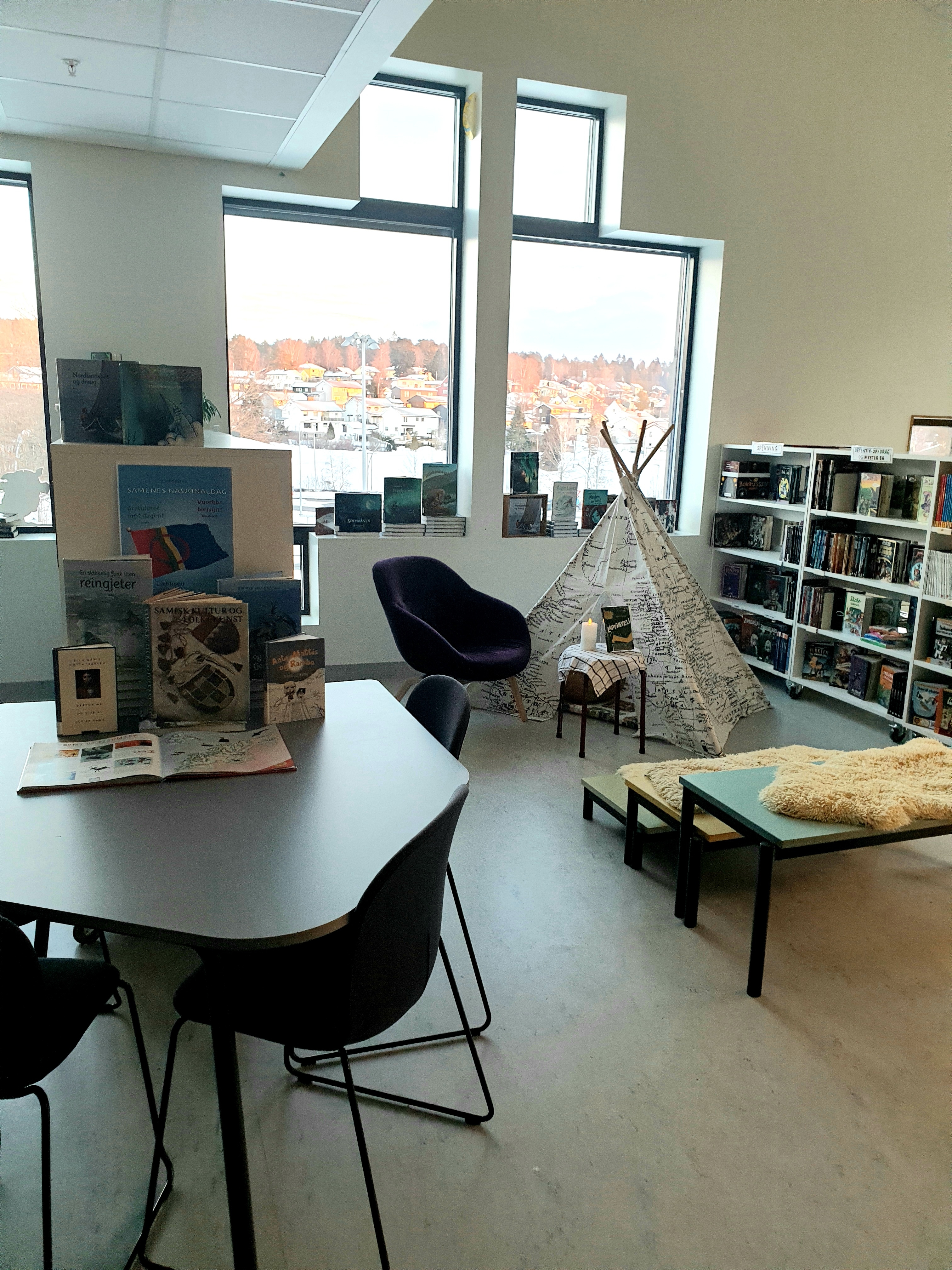 Pynte bibliotek på samisk dag