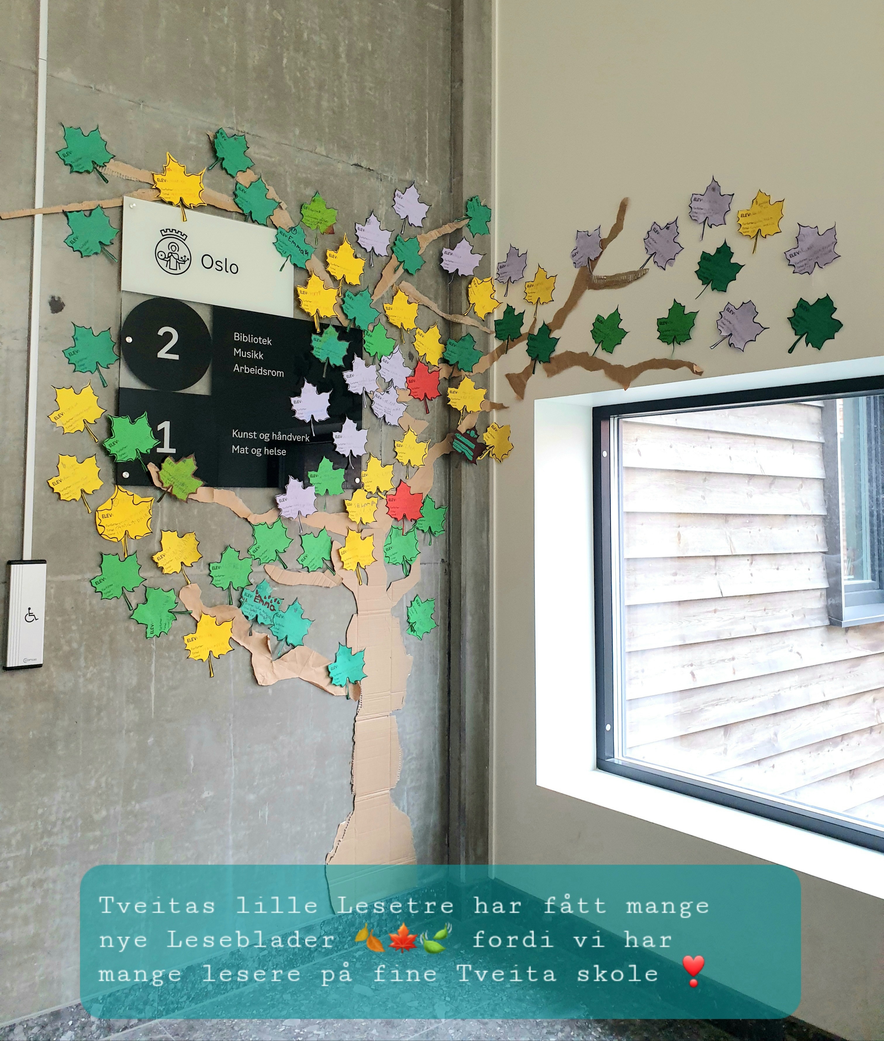 Tveitas lille lesetre med leseblader.