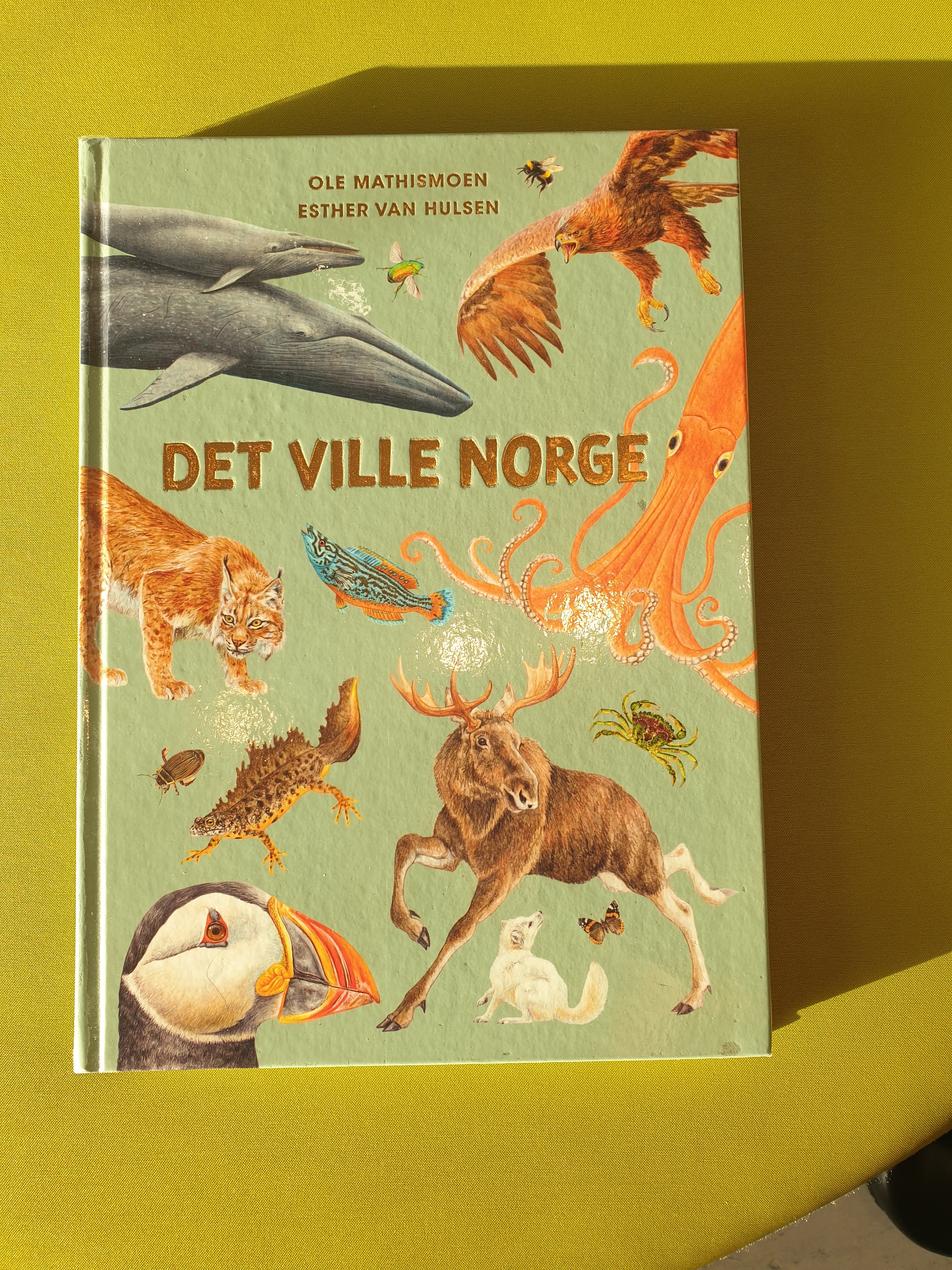 Det ville Norge bok