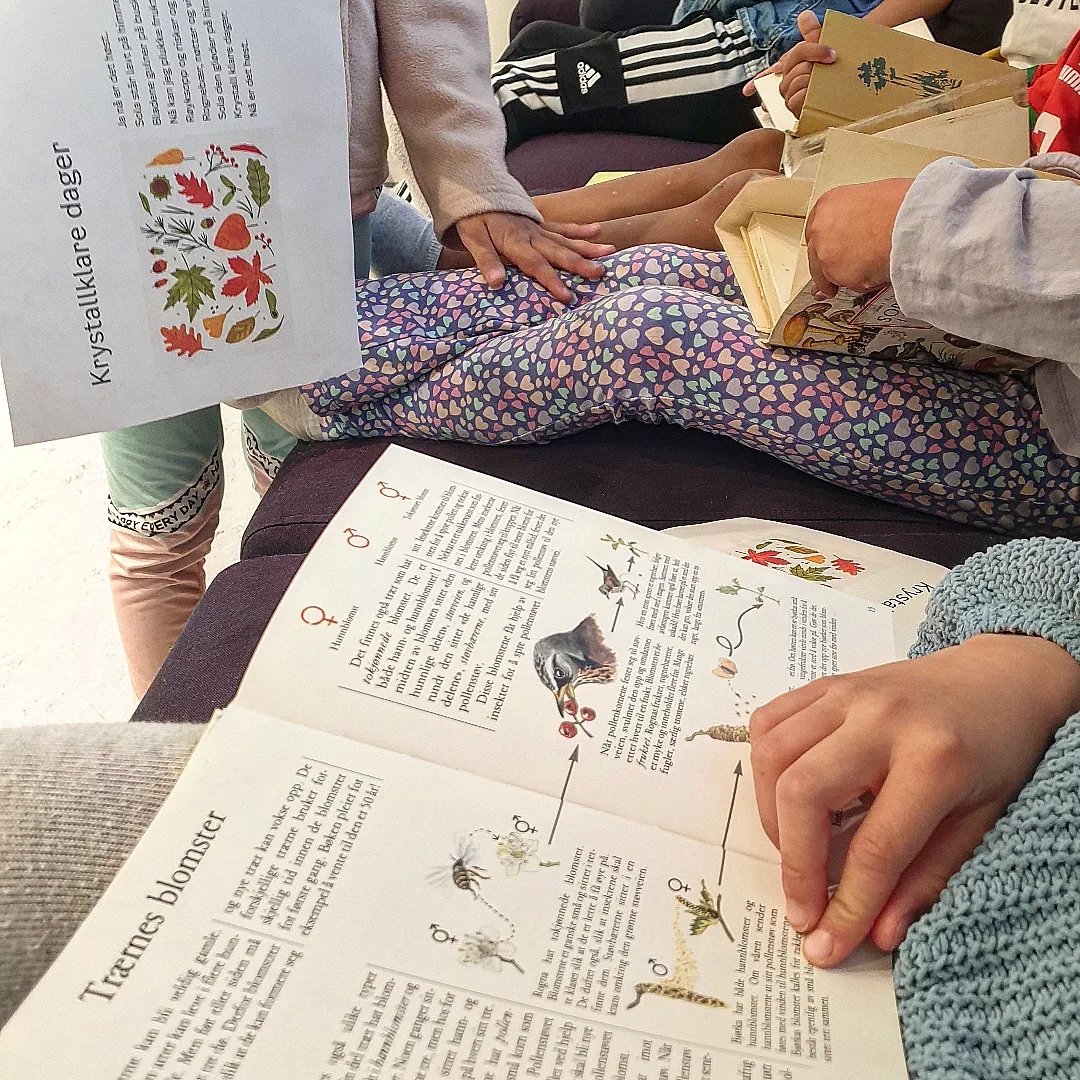 Elever leser i bibliotek