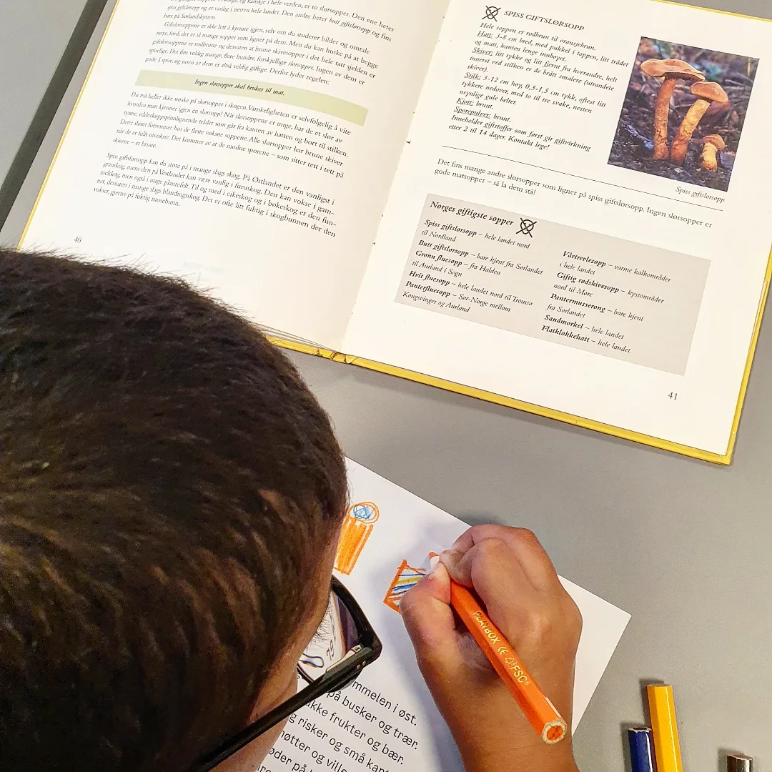 Elev tegne i bibliotek