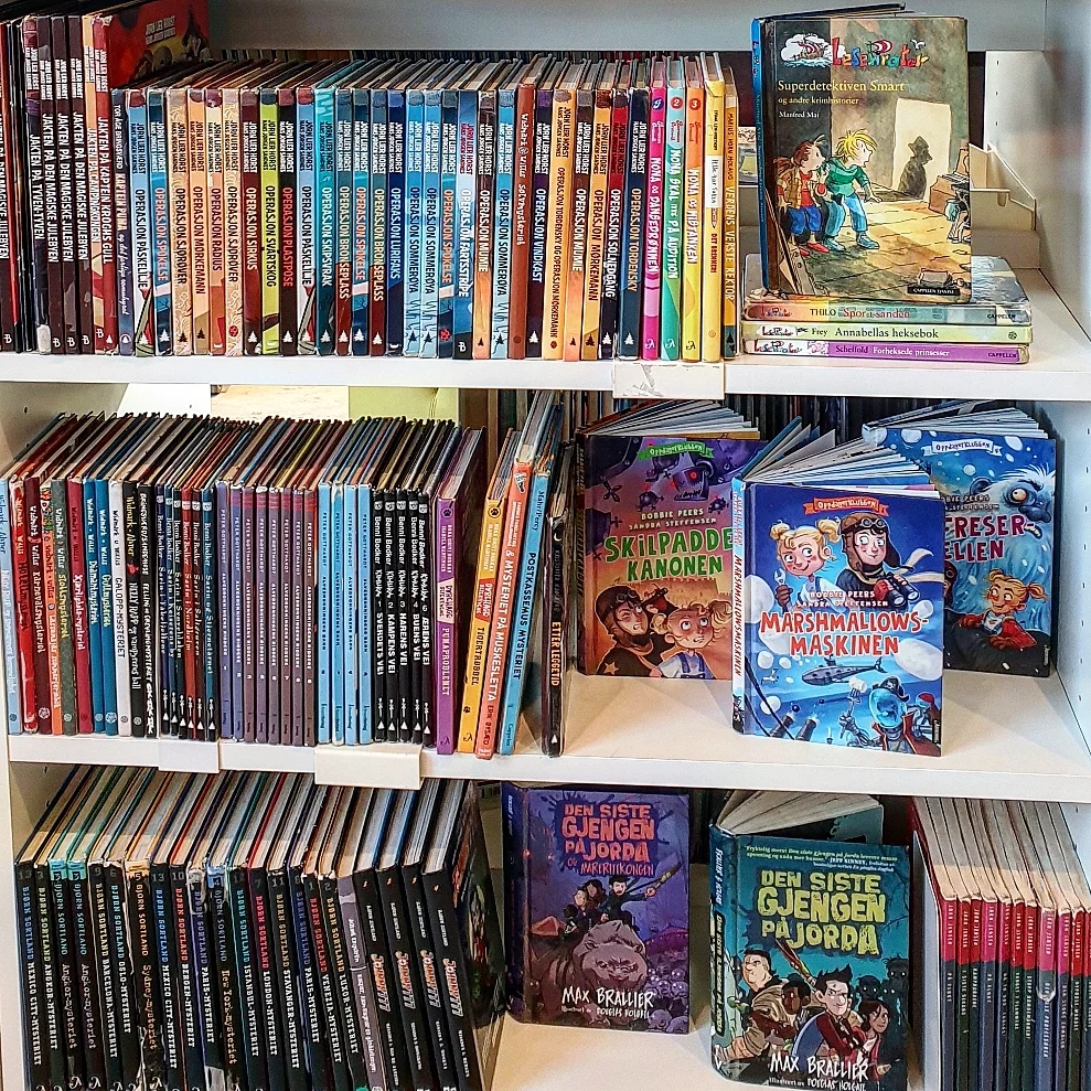 Skolebibliotek bøker