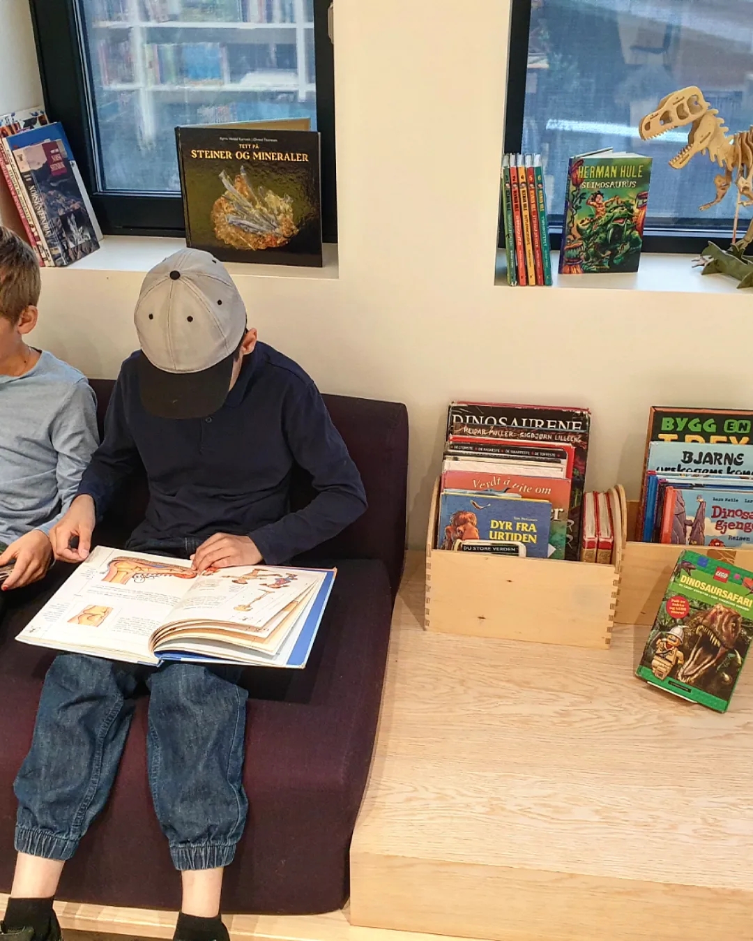 Barna leser- Skolebibliotek