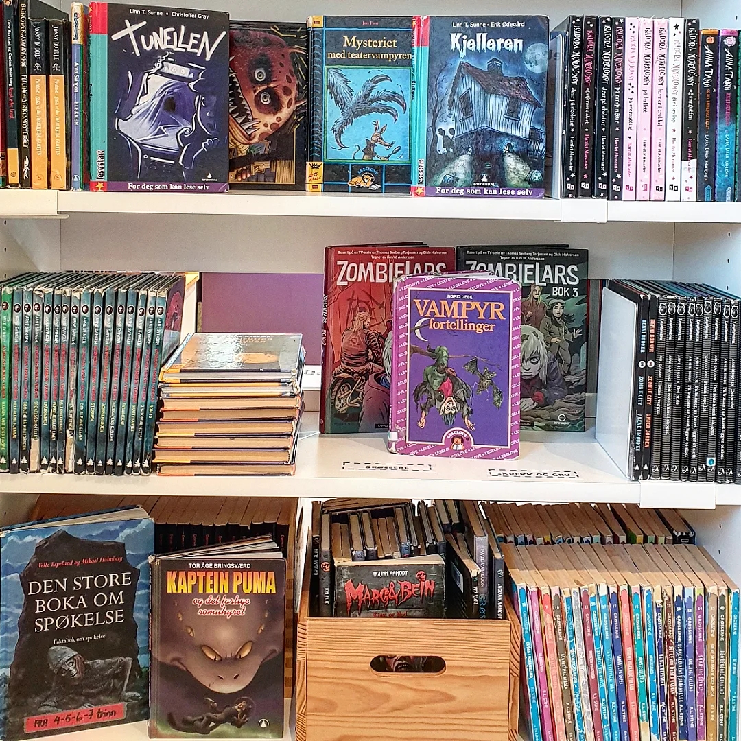 Skolebibliotek bøker