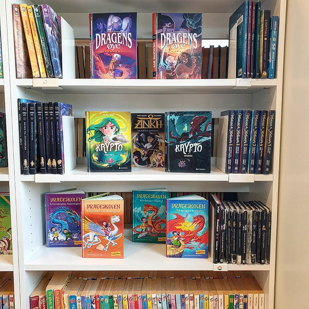 Skolebibliotek bøker